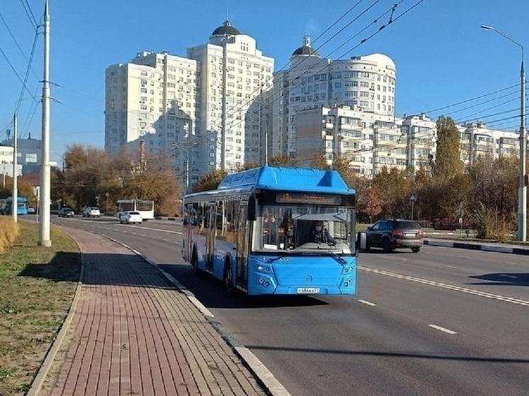 Белгородская область получит 600 млн рублей на покупку 47 автобусов