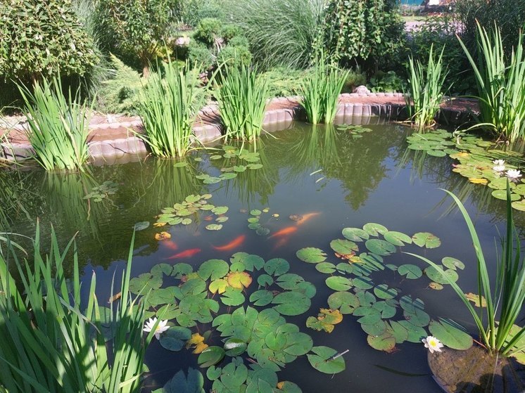 Вандалы разгромили сквер Приозерный в Ессентуках