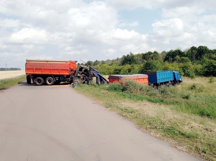 На орловской трассе не разъехались два КАМАЗа