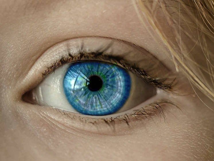 Шейкин предложил заблокировать в РФ сервис "Глаз бога" для поиска информации данных