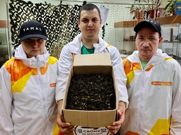 Волонтеры из Уренгоя отправили бойцам на фронт иван-чай с «ароматом дома»