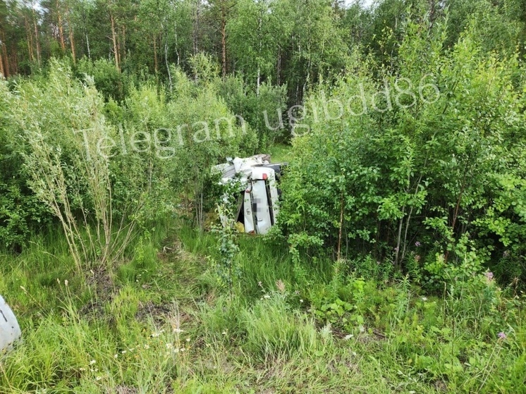 В Югре пьяный водитель съехал в кювет и убежал с места ДТП