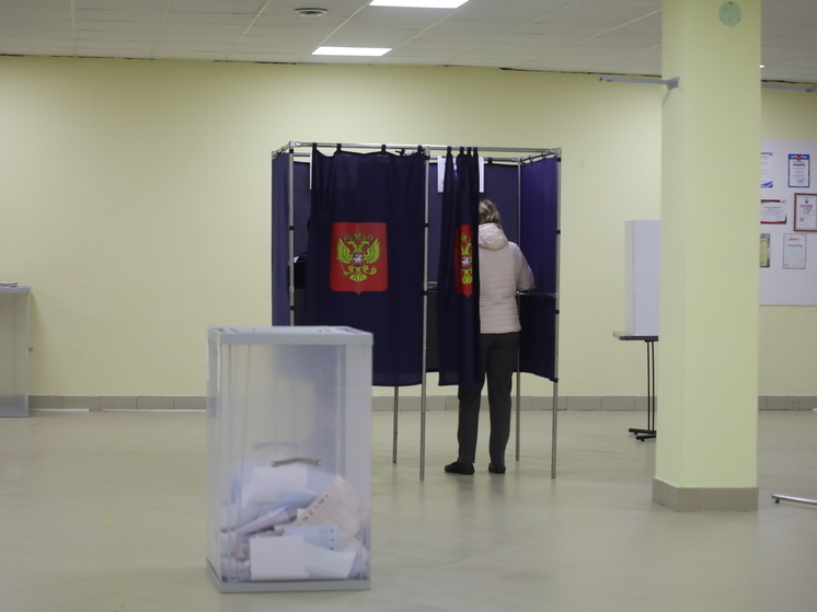 Для ленинградцев запустят механизм «Мобильный избиратель» на выборах Заксобрания
