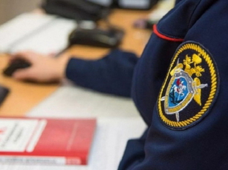 В Курской области арестовали мужчину за убийство его 63-летнего отца