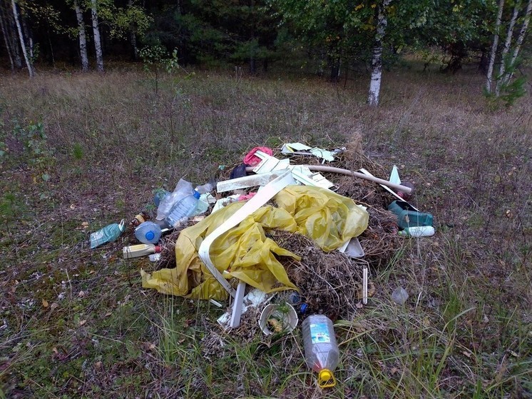 Уборку мусорных навалов провели в лесах Серпухова