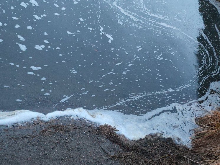 Кишечная палочка: власти Шурышкарского района призвали ямальцев не пить воду из местных водоемов