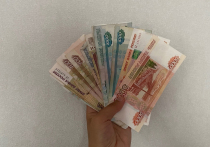 Часть бизнесменов сможет получить до 300 тысяч рублей