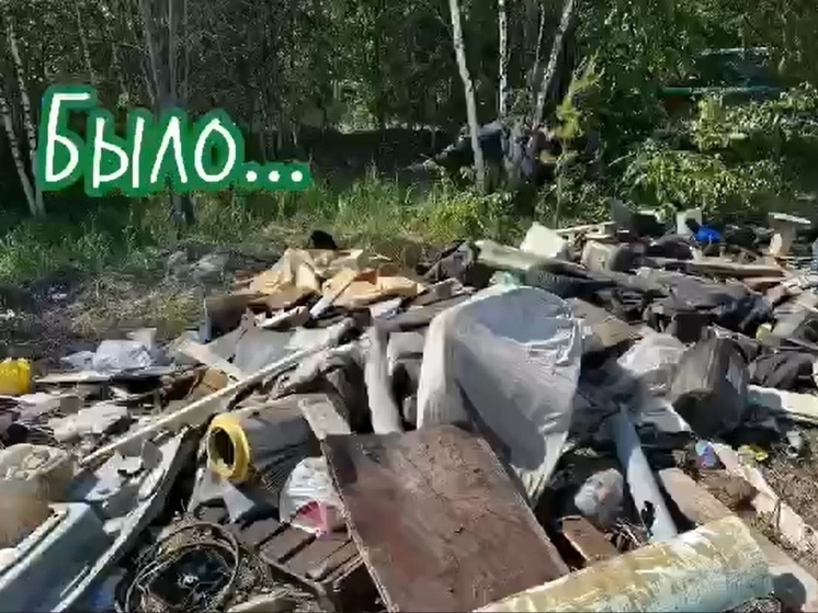 В Ноябрьске в лесу нашли нелегальную свалку: вывезли 15 кубов мусора