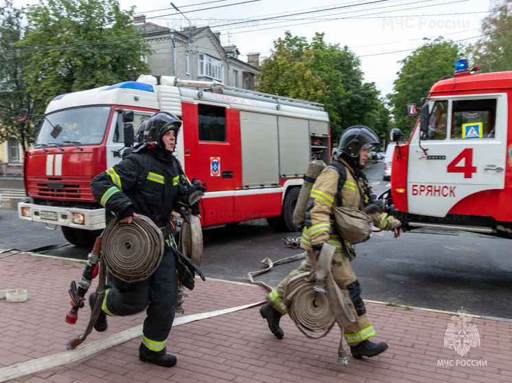 В МЧС рассказали об учениях в брянском театре кукол