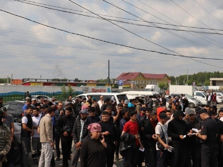 В Новосибирской области за полгода работу получили 22,5 тысячи мигрантов