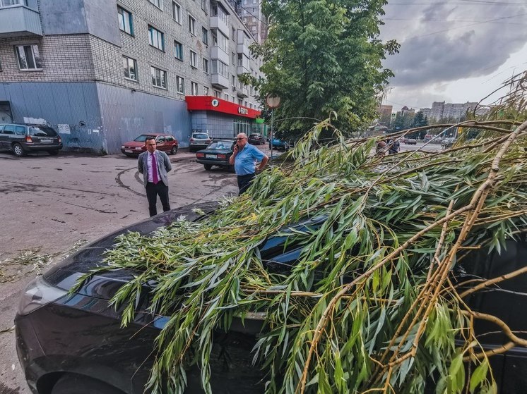 Дерево придавило машину на улице Крахмалева в Брянске