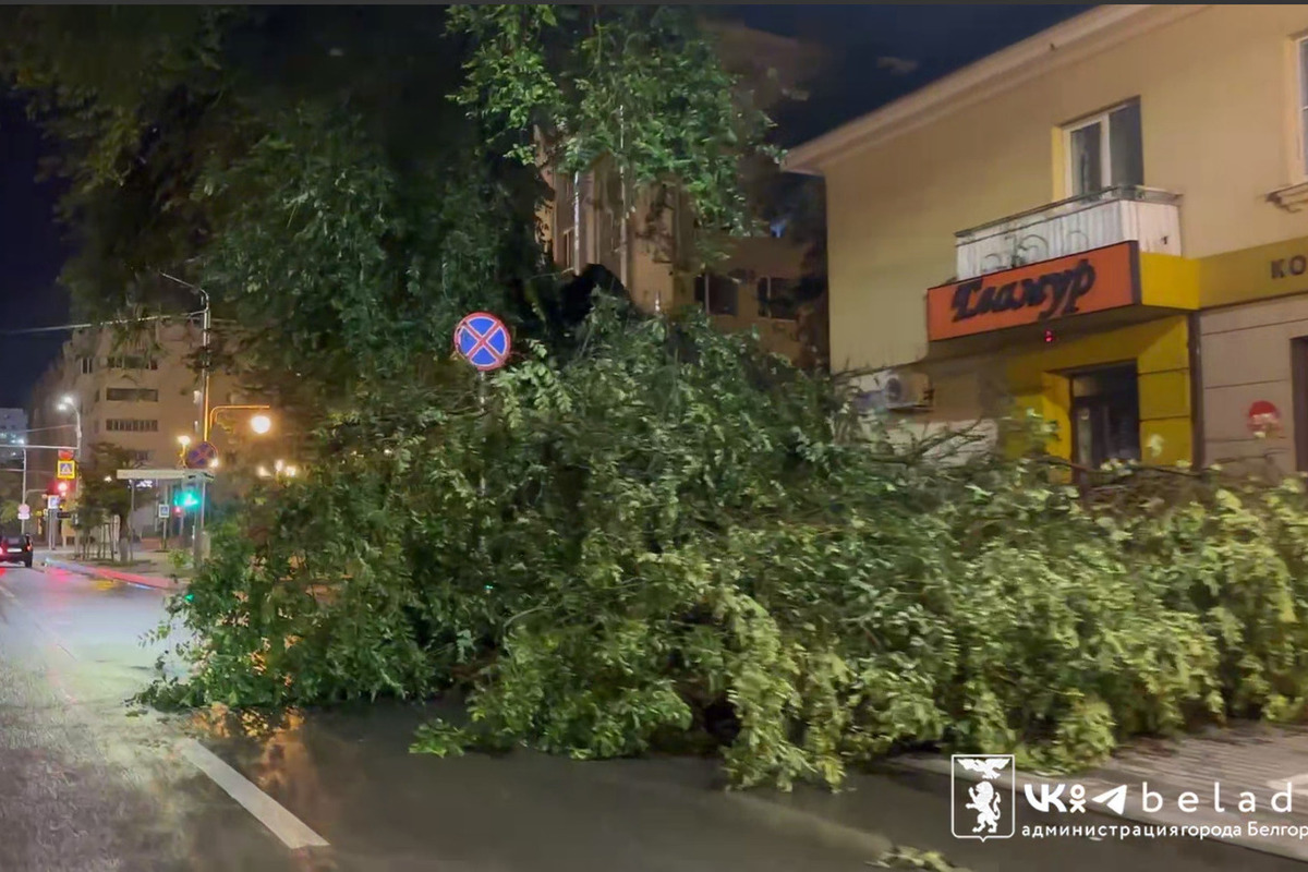 В Белгороде во время непогоды пострадали 14 авто и 65 домов