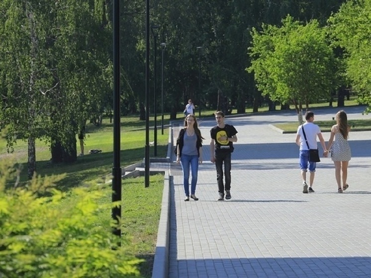 В Новосибирске температура воздуха поднимется выше нормы в конце июля