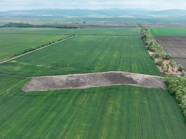 На Кубани подвели итоги археологических раскопок на месте строительства магистрального газопровода Анапа – Тамань