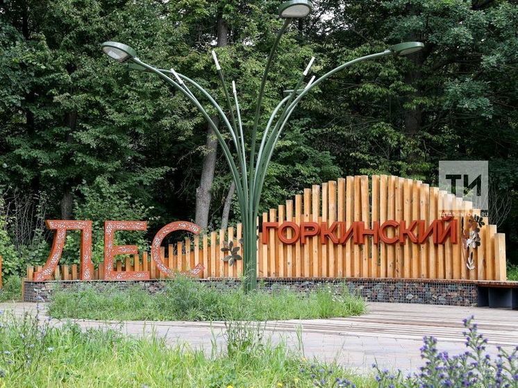 Казанцев приглашают на "устойчивый пикник" в Горкинско-Ометьевский лес