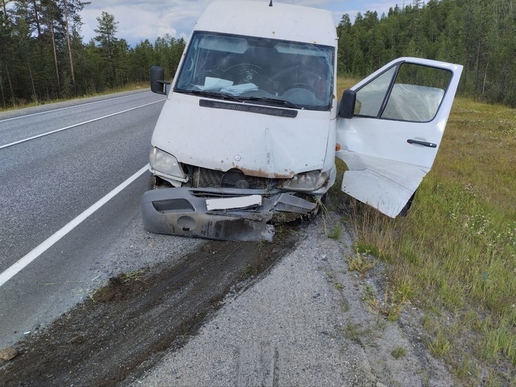 В Кольском районе Mercedes-Benz Sprinter съехал в кювет