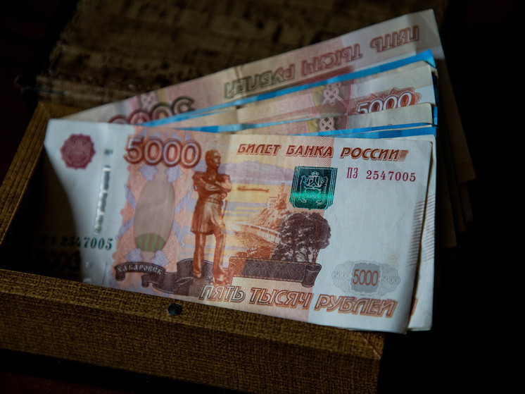 В Тверской области взяли под стражу мужчину, обманувшего пенсионерку на 250 тысяч рублей