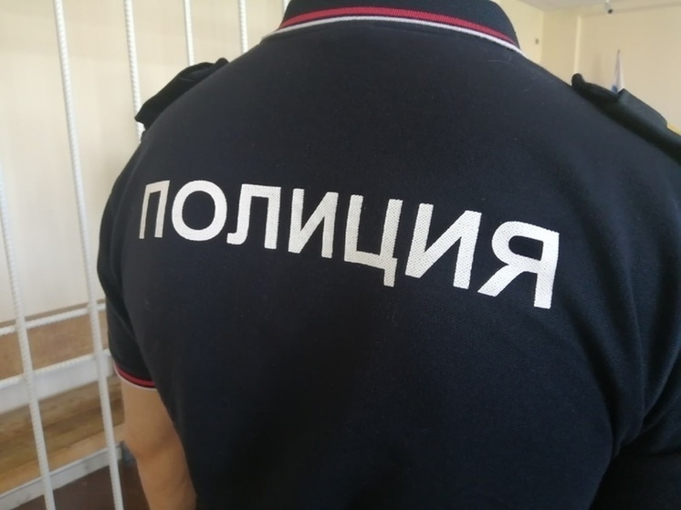 Уголовное дело возбудили против омича, выбросившего из окна многоэтажки щенка