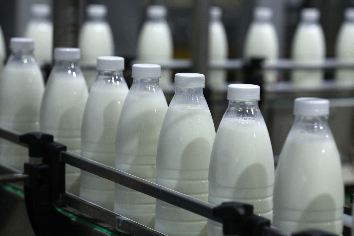 В Костромской области стало проще получить субсидии по программе «Социальное молоко»