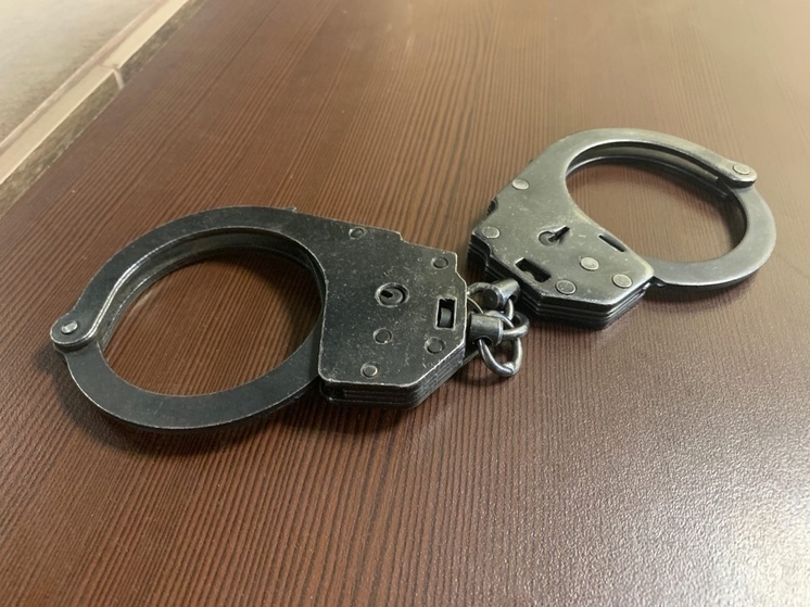 В Рязани задержали предпринимателя Артёма Негова