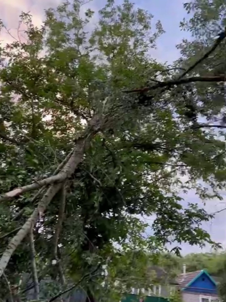 Ураган оставил без света несколько поселков на Ставрополье