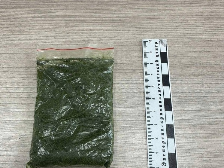 Полицейские Тувы уличили двух детей интерната в употреблении насвая