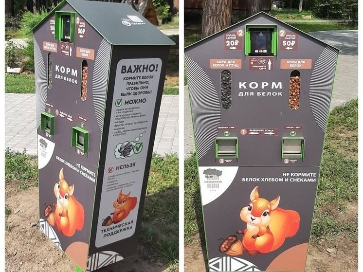 В Новосибирске установят автоматы по продаже корма для белок в парках