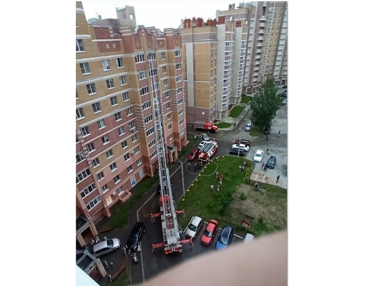 В Костроме из-за возгорания квартиры в МКД семь человек эвакуировали с помощью пожарной лестницы