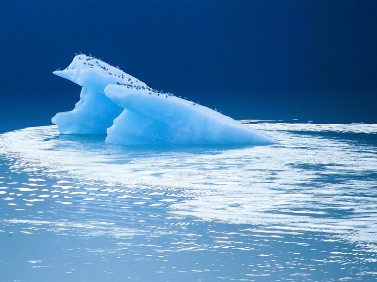 «Происходит что-то странное»: ученые обеспокоились таянием антарктического льда0