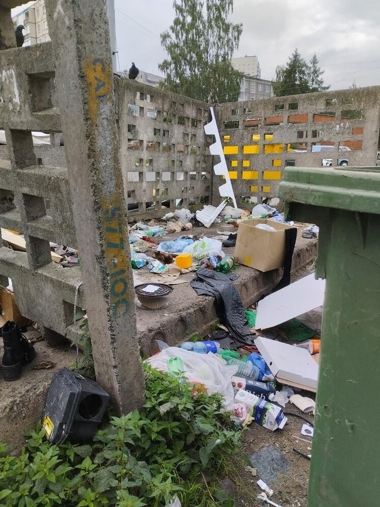 Район Петрозаводска превратился в помойку, считают горожане