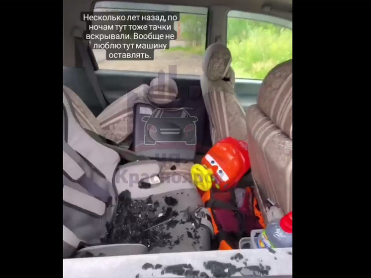 В Красноярске у нацпарка «Столбы» обокрали несколько машин