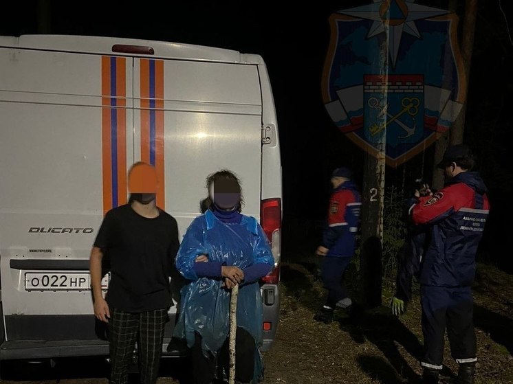 Спасатели вывели из леса под Лугой пожилую женщину