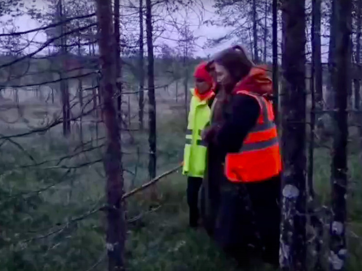 Добровольцы в Карелии за несколько часов нашли потерявшегося в лесу старика