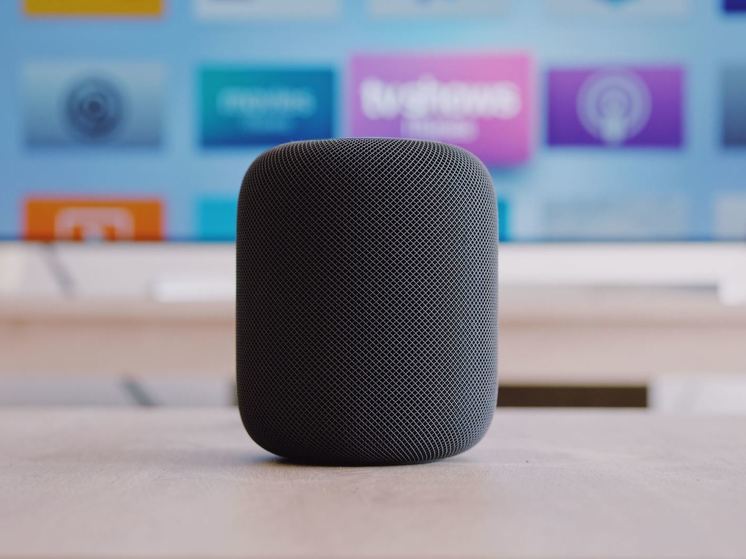 Ранее судимый смолянин вынес из магазина активную колонку