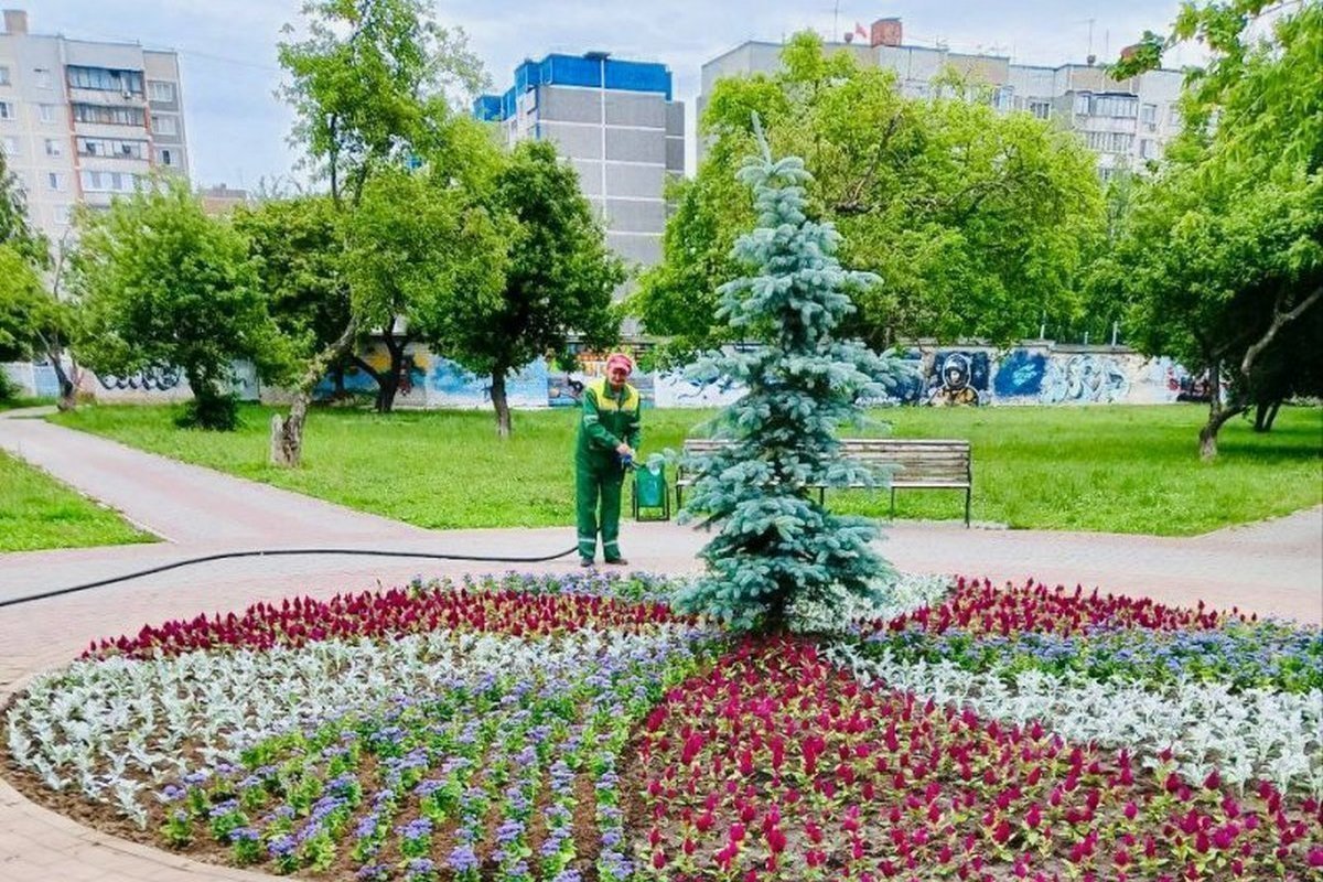 Городские клумбы
