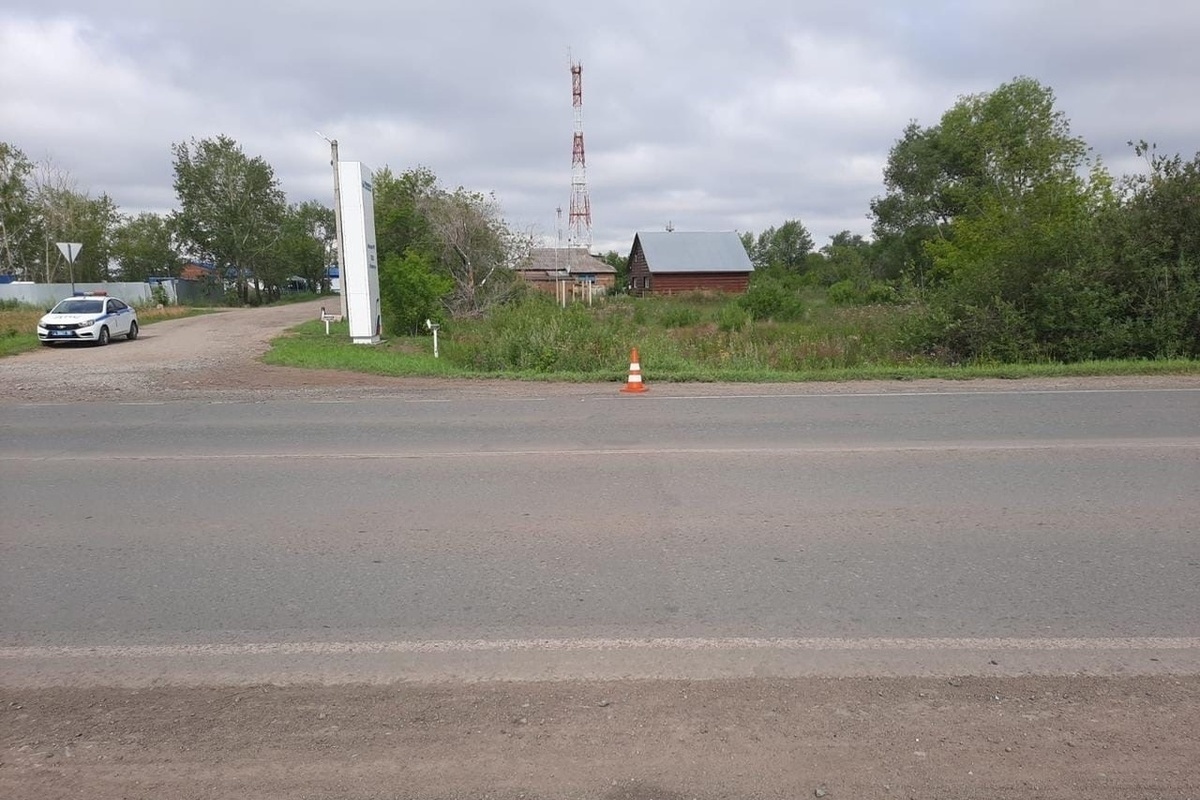 База Данных Омска И Омской Области 2021