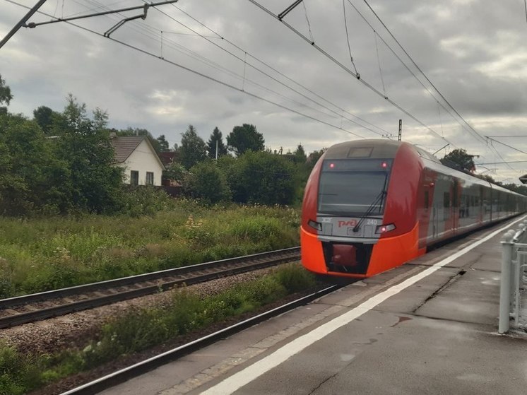 «Ласточка» из Петрозаводска в Петербург будет ходить по новому расписанию с 22 сентября по 1 октября