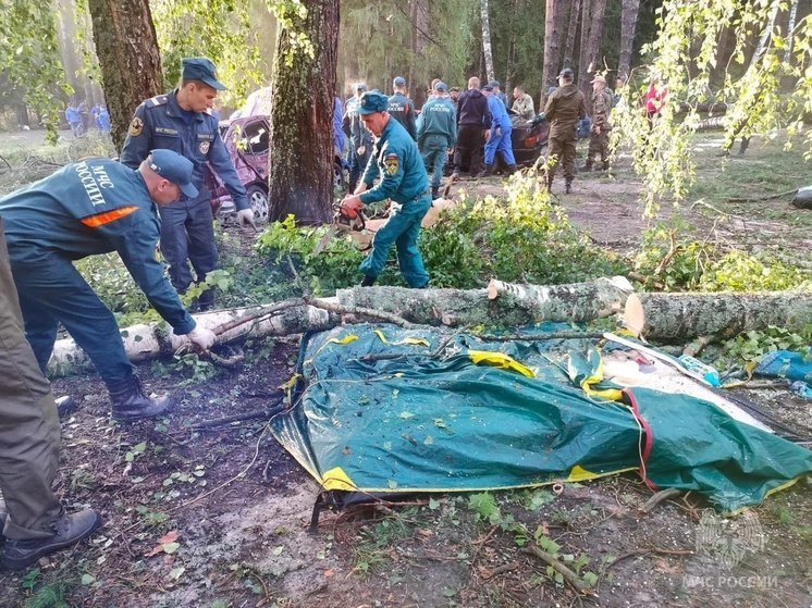 7 человек погибли во время урагана в Марий Эл