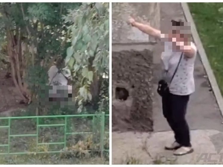 В Новосибирске пожаловались на женщину, справившую нужду посреди улицы