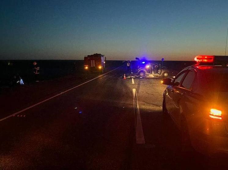 В Калмыкии в аварии погибли два человека, в том числе ребёнок