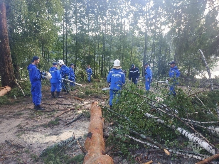 Количество погибших на Яльчике выросло до 8 человек