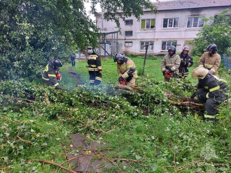 Курские спасатели за сутки ликвидировали последствия непогоды в Горшечном