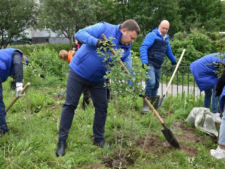 Новая клиентская аллея АтомЭнергоСбыта появилась в Мурманске