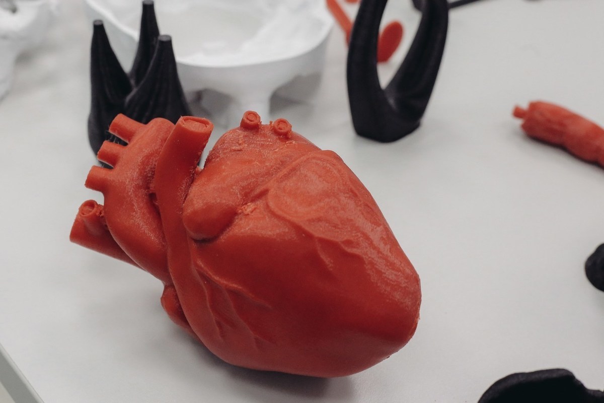 Волгоградские кардиологи рассказали, как продлить молодость сердца