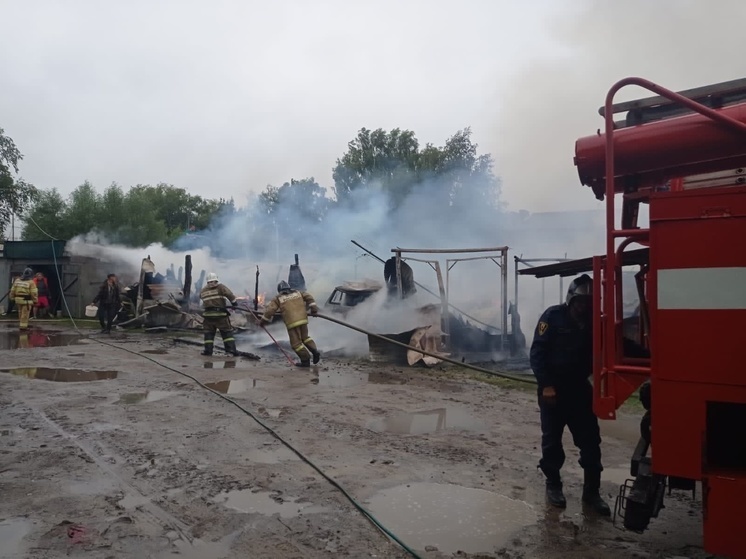В Сараях Рязанской области сгорели десять нежилых построек