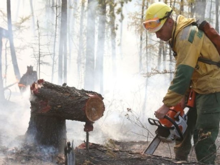 Самый крупный в этом году природный пожар потушили на Чукотке