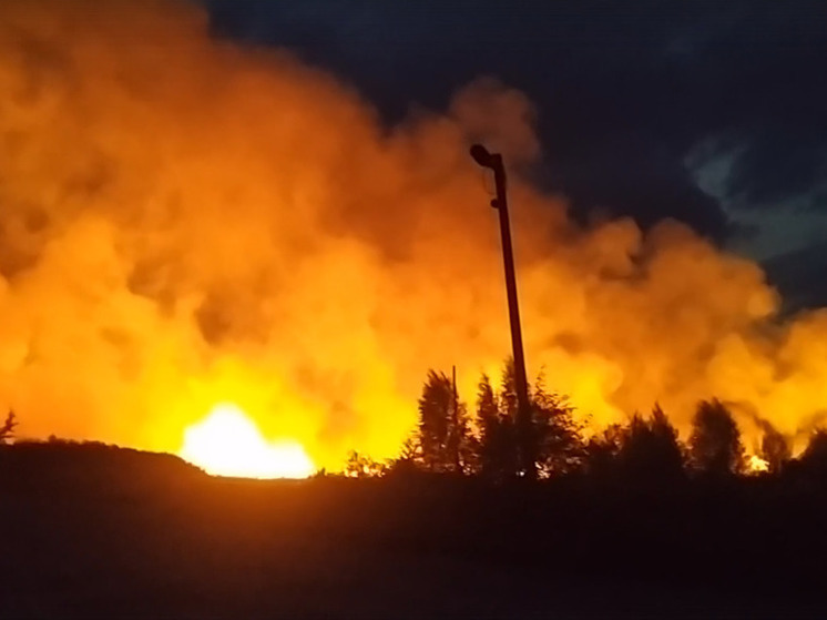На Южном Урале поселок охватил масштабный пожар