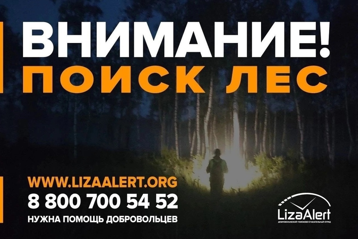 За выходные дни в Костромской области 16 любителей «тихой» охоты заблудились в лесах