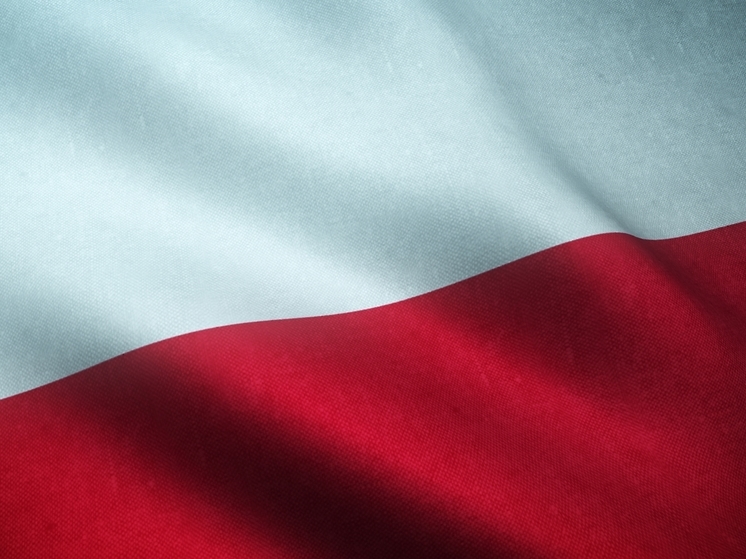 В Польше футбольные фанаты заставили украинцев извиняться на камеру за неподобающее поведение