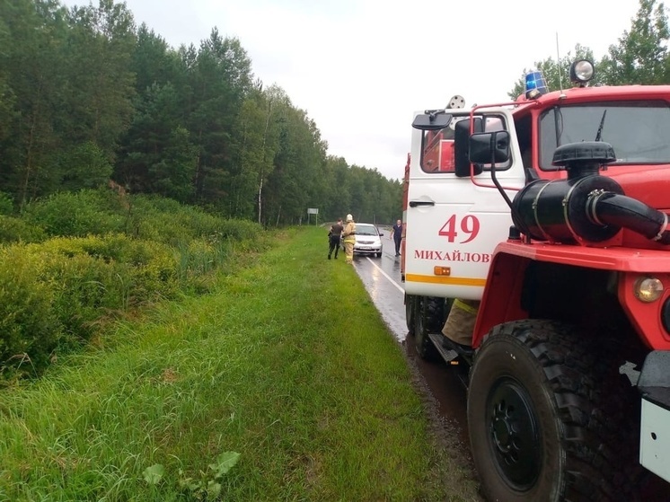 В Курской области спасатели ликвидировали последствия ДТП с коровой